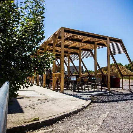 Le Tropisme - Terrasse En Centre *