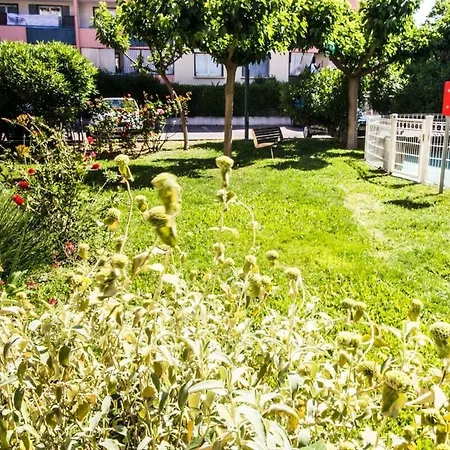 Le Tropisme - Terrasse En Centre *
